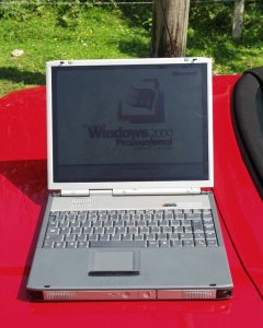 Chiara at St Leonards, New Forest with MGF