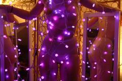 Chiara wrapped in LED\'s