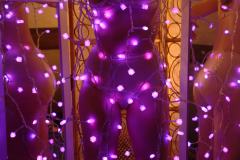 Chiara wrapped in LED\'s