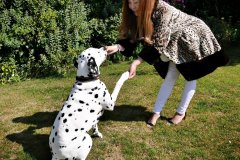 2015-08-08 Stefan Lilley's studio day