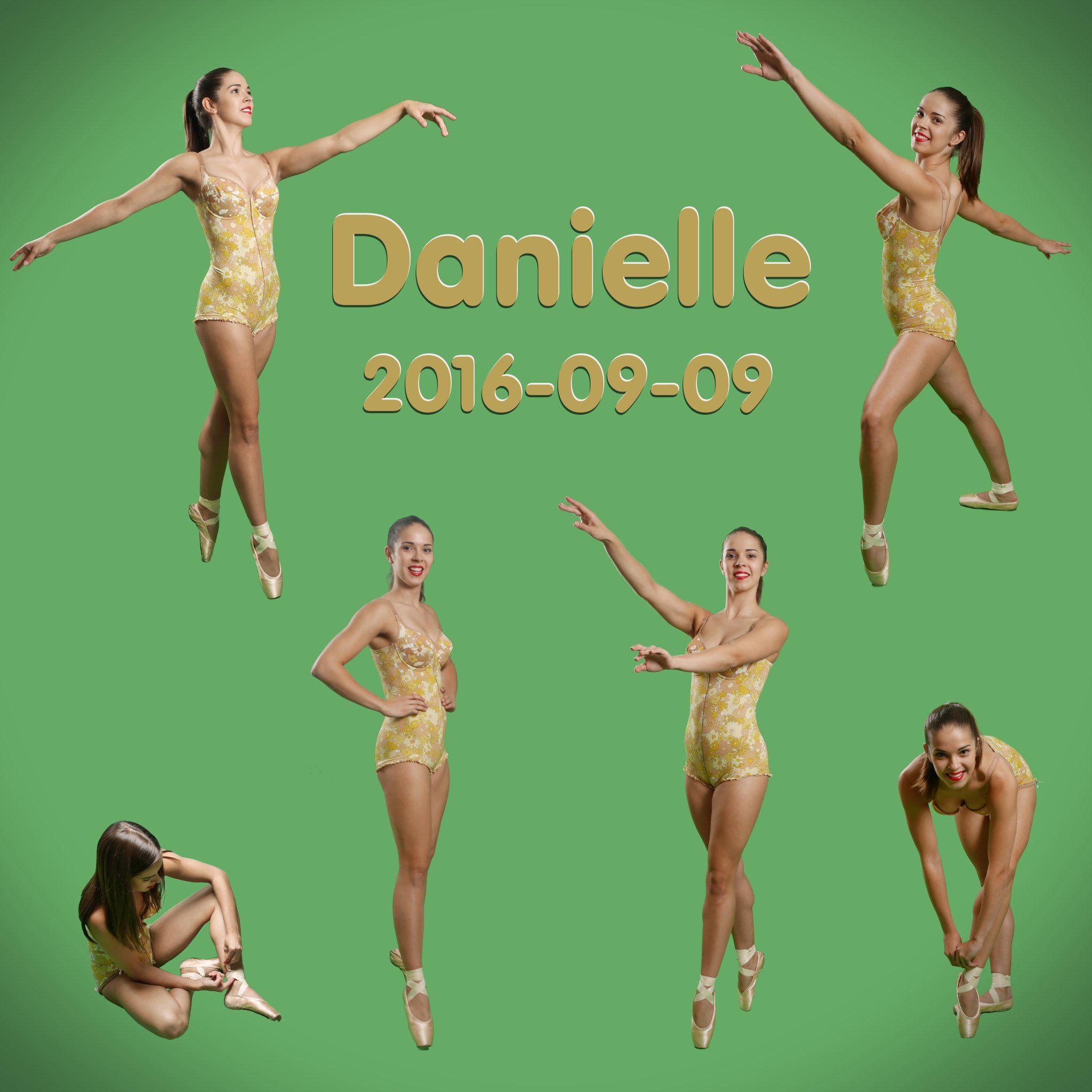 2016-09-09 Danielle Morrison title slide