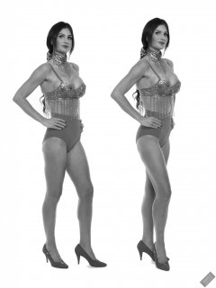 2020-03-08 LisaAnne fitness collage showing leg positions