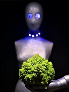 LED lighting demo. 2016-11-05 The Aliens and the Romanesco