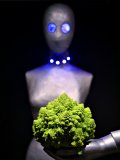 LED lighting demo. 2016-11-05 The Aliens and the Romanesco