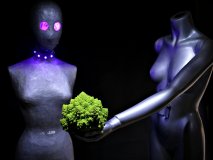 LED lighting demo. 2016-11-05 The Aliens and the Romanesco