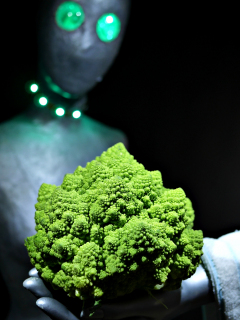 LED lighting demo. 2016-11-05 The Aliens and the Romanesco
