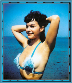 Bettie Page Camera Club 240