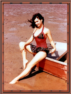 17159 Bettie Page Camera Club 276