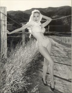 influences: Betty Brosmer