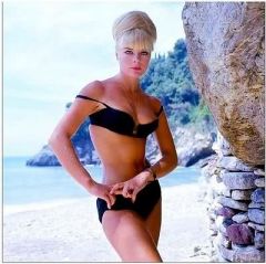 influences: Elke Sommer