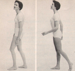 Body Beautiful Good Posture Guide #1