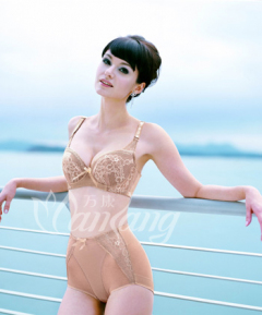 influences: Chinese lingerie advert