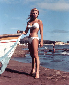 influences: Raquel Welch