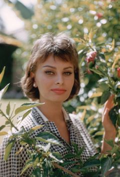 influences: Sophia Loren