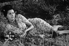 influences: Sophia Loren