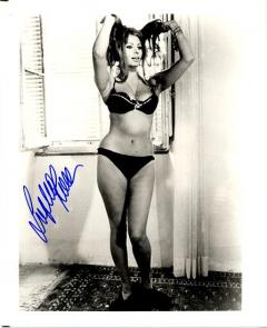 influences: Sophia Loren swimsuit