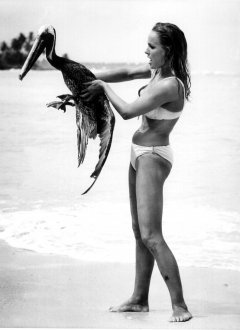 influences: Ursula Andress and pelican