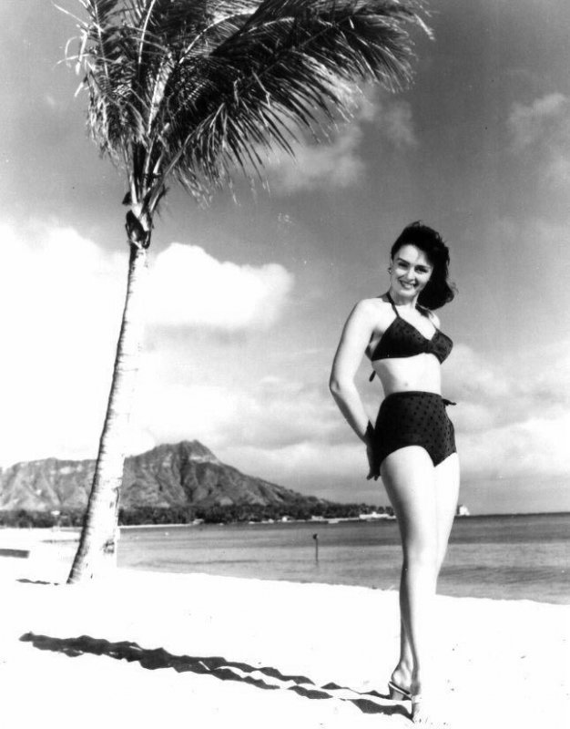 Donna Reed
